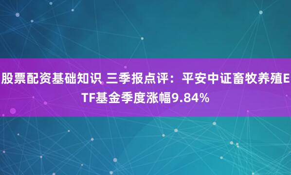 股票配资基础知识 三季报点评：平安中证畜牧养殖ETF基金季度涨幅9.84%