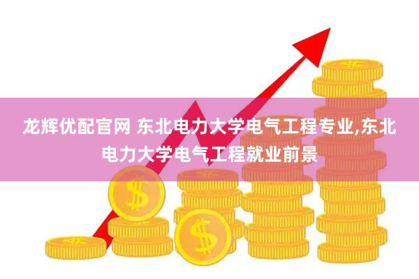 龙辉优配官网 东北电力大学电气工程专业,东北电力大学电气工程就业前景