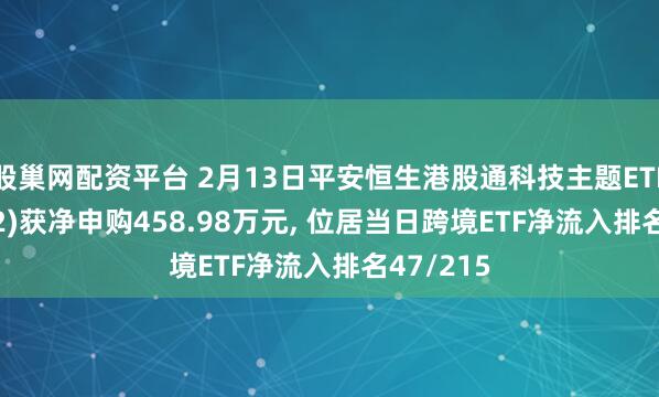 股巢网配资平台 2月13日平安恒生港股通科技主题ETF(159152)获净申购458.98万元, 位居当日跨境ETF净流入排名47/215
